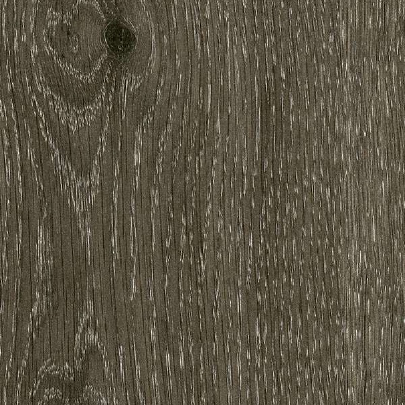 Abet Quercia Nordica 678 Root 