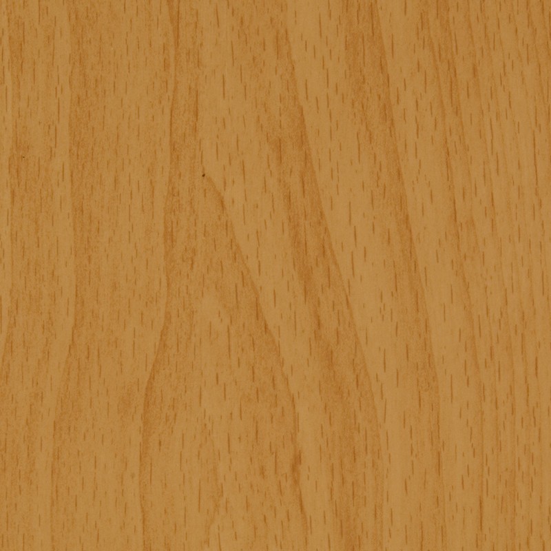 Arpa Faggio Alpino 1286 Erre
