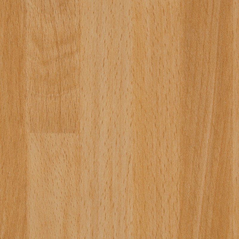 Arpa Faggio Lamellare 1870 Erre