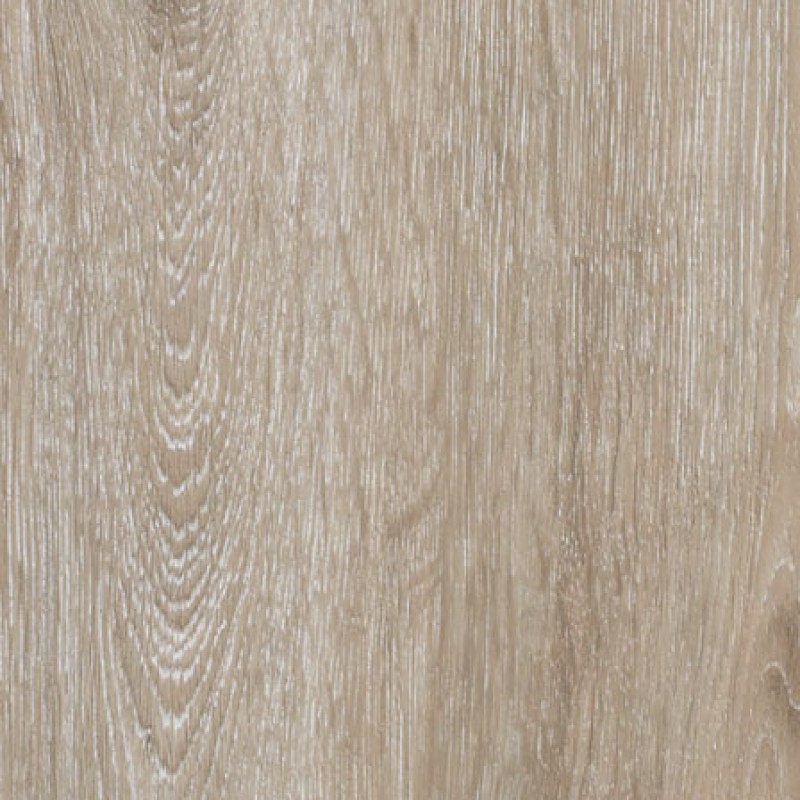 Bonomi Pattini GBP-L-051 ROVERE SEMPREVERDE SYNCRO PORO 