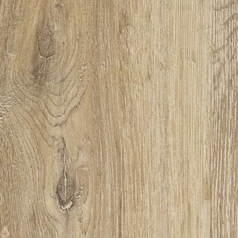 Bonomi Pattini GBP-L-052 ROVERE AGRIFOGLIO SYNCRO PORO 