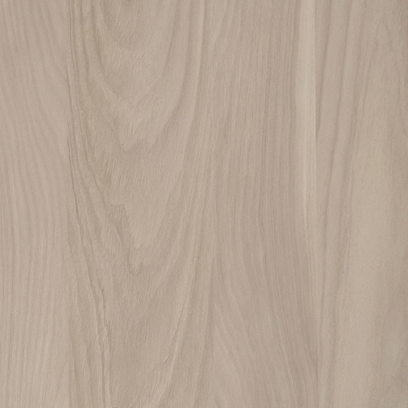 Cleaf Champagne S010 YOSEMITE