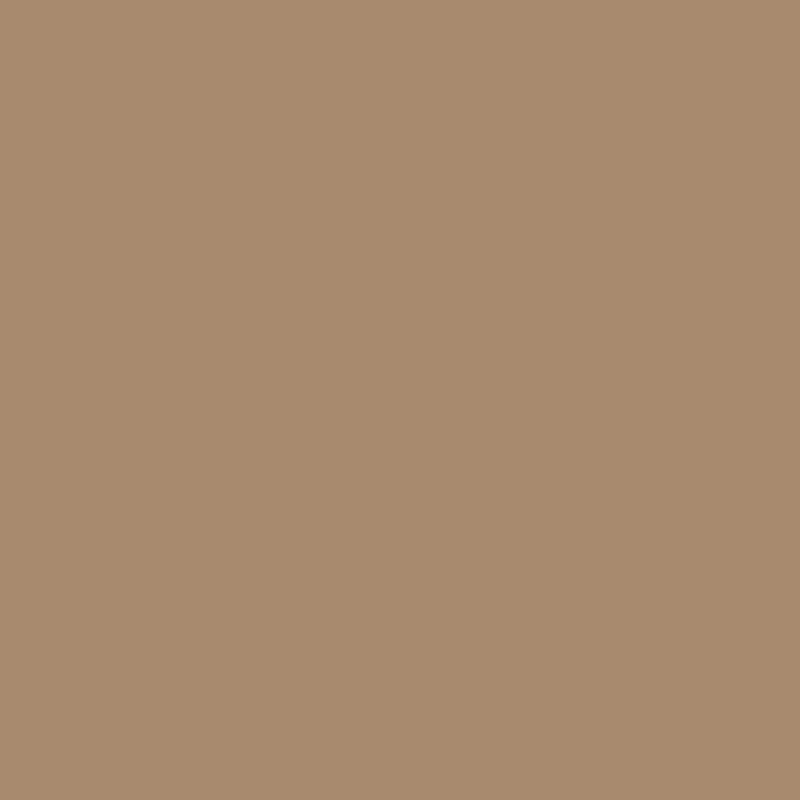 Egger Beige Caramello U250 ST9