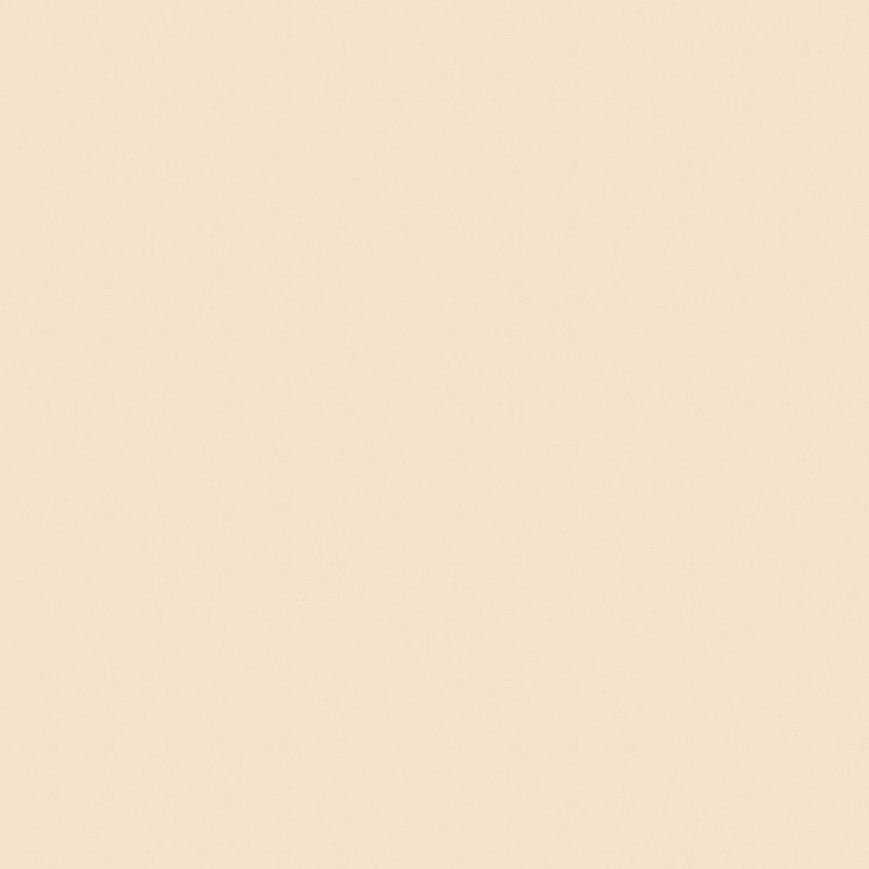 Falco Cream 348 FS23