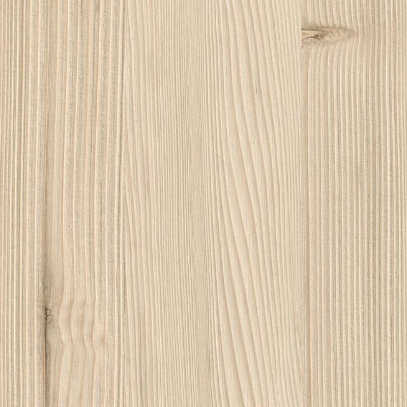 Kaindl Abies Shine K2406 AI