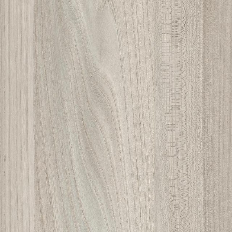 Kaindl Elm Sangallo Shell K5276 SU
