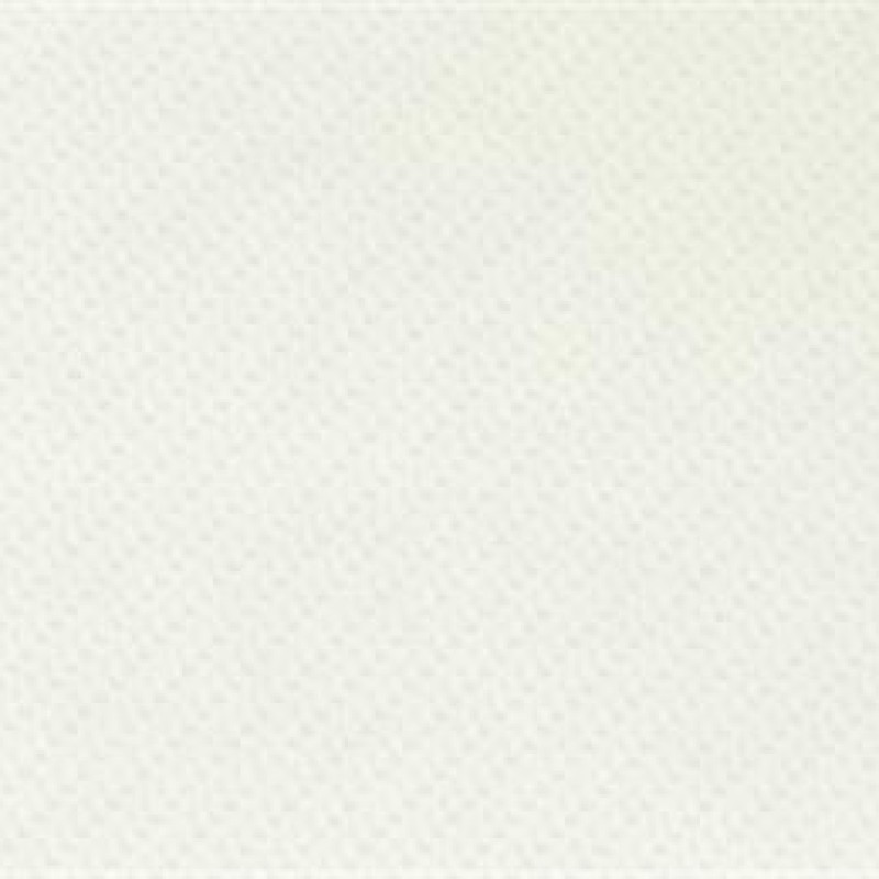 SwissKrono CARBON WHITE D2569 PE