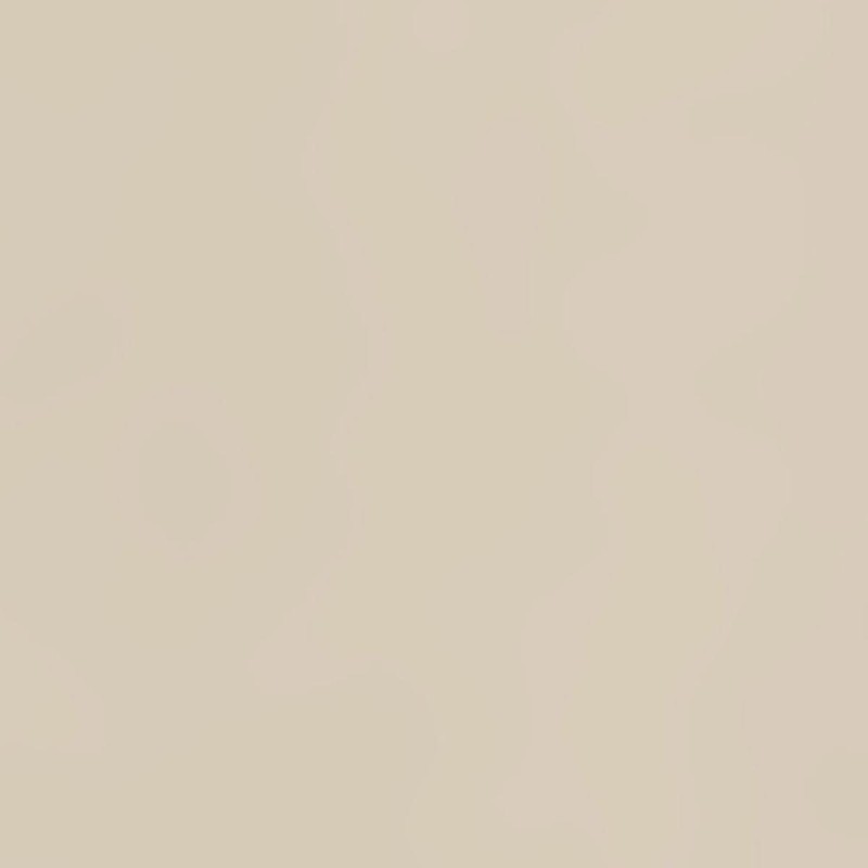 SwissKrono LIGHT BEIGE U119 VL