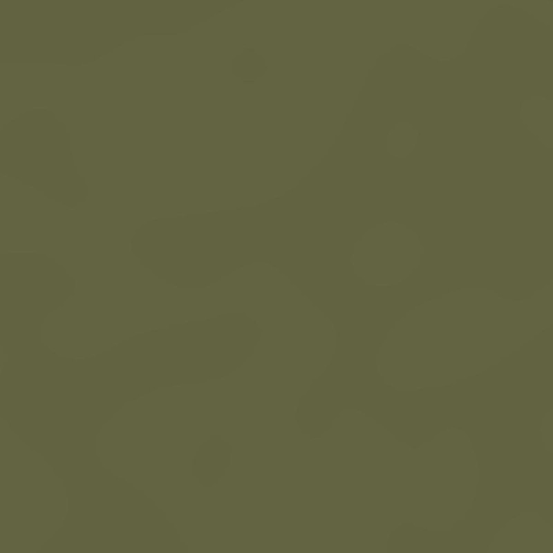 SwissKrono OLIVE U2508 VL