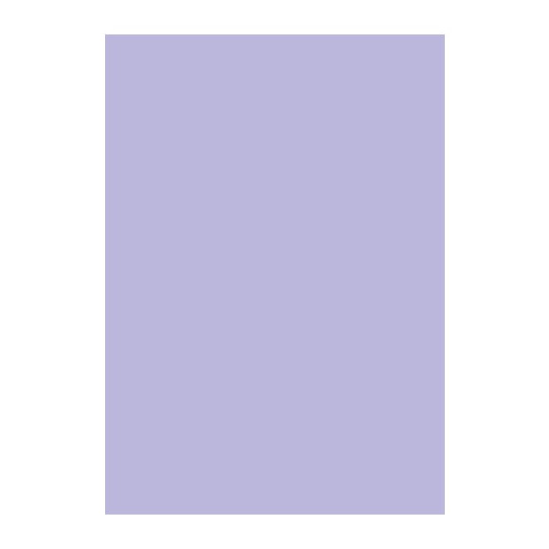 KASTAMONU D138 PURPLE PS11