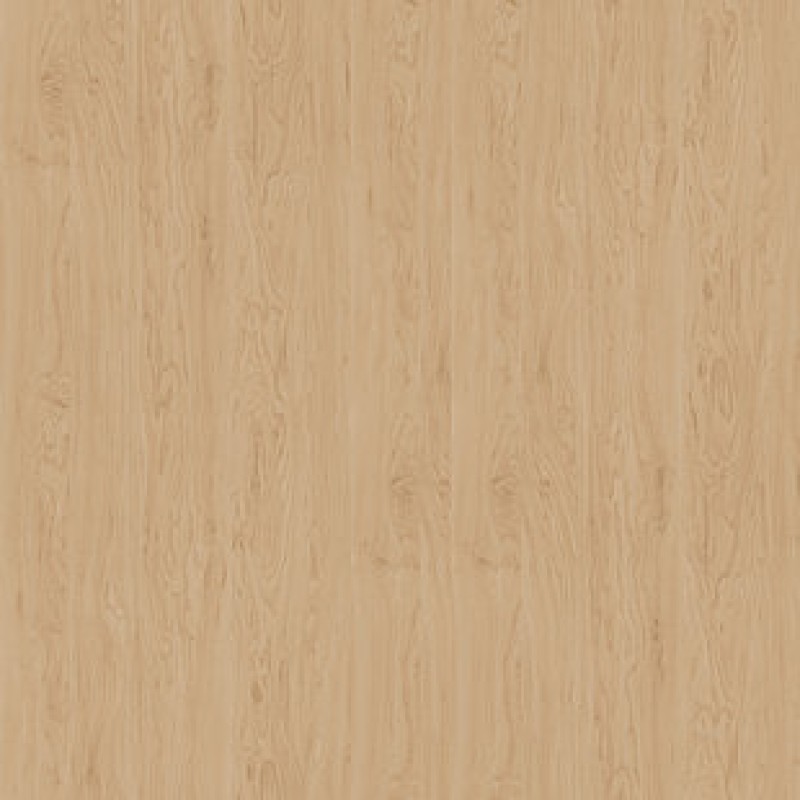 Pfleiderer BIRCH ALASKA R35017 MO