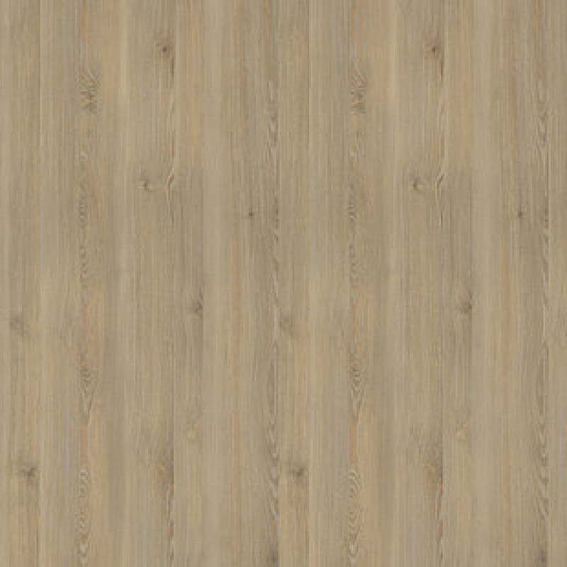 Pfleiderer PINO FANO NATURALE R55007 RU