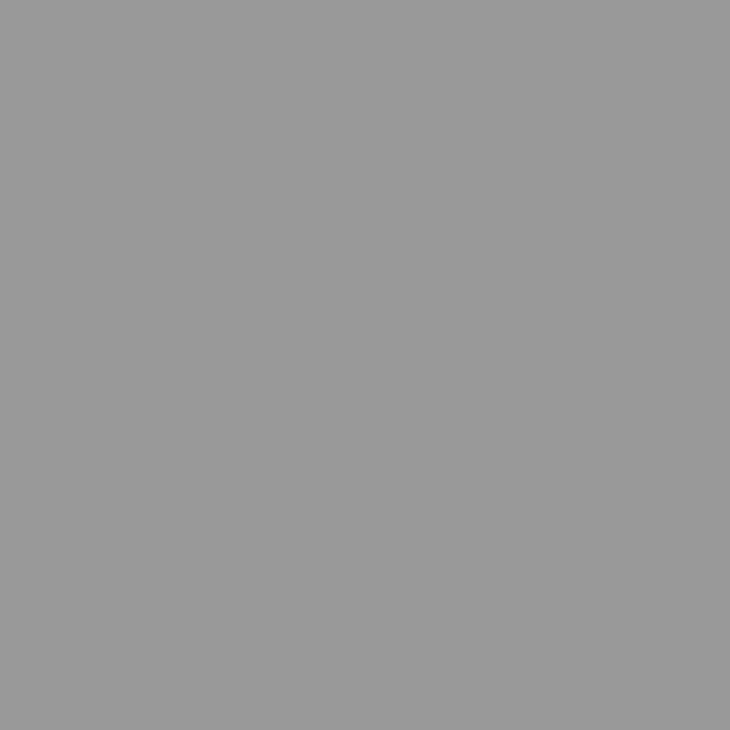 Pfleiderer GRIGIO SEGNALE U12248 SD