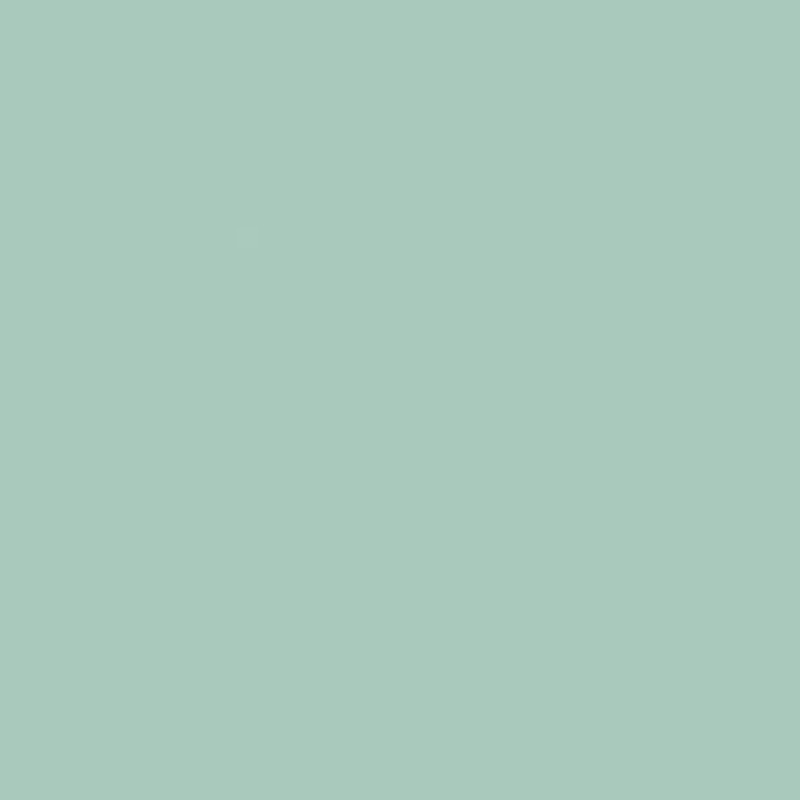 Pfleiderer MENTA U19006 SD