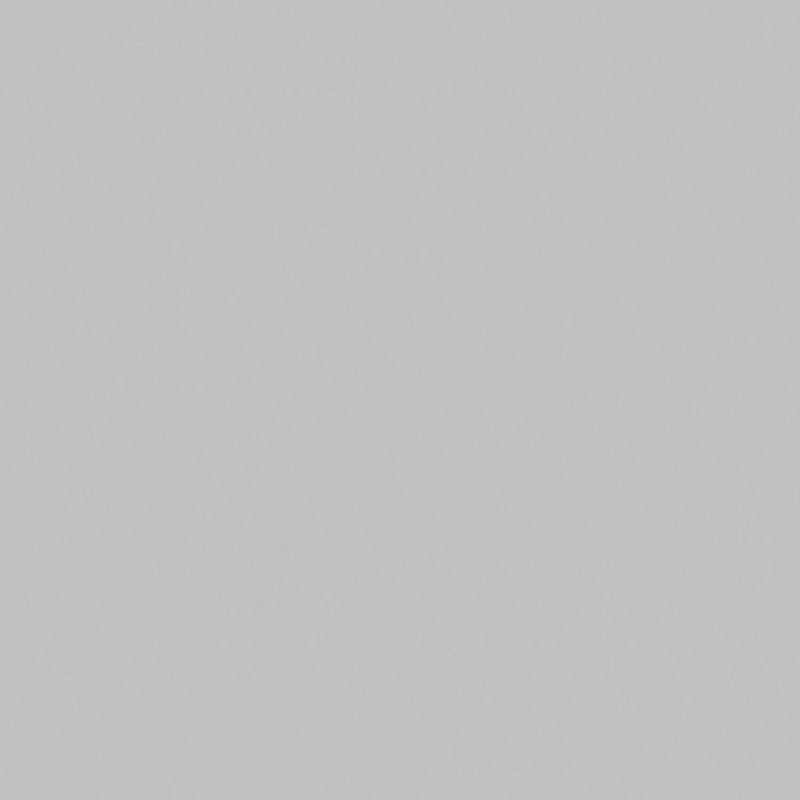 POLYREY GRIS TOURTERELLE G029 EXM
