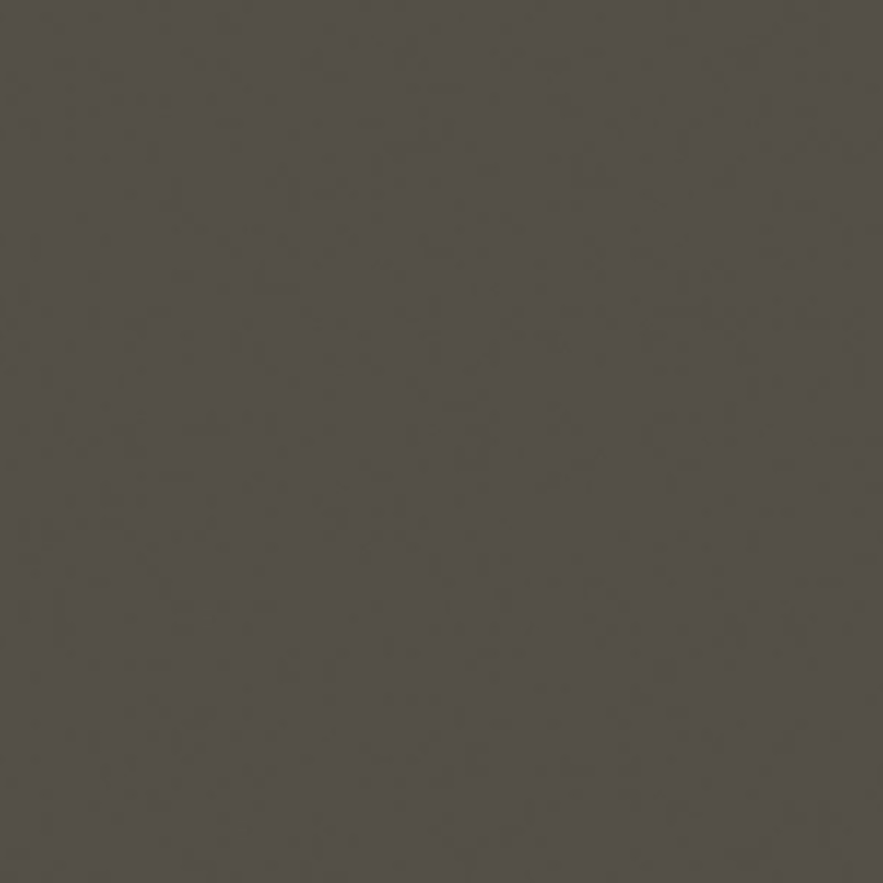 POLYREY GRIS VISON G120 FA