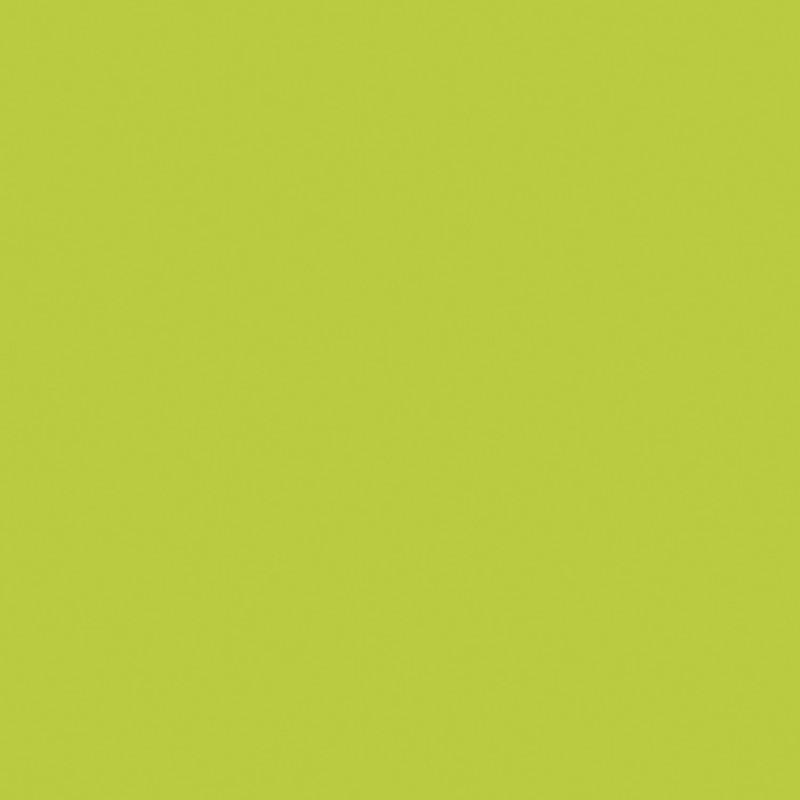 POLYREY POMME VERTE P092 BR