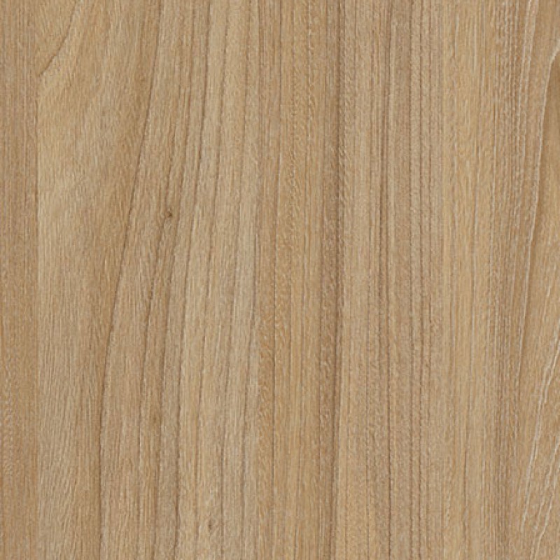 SmArt 4565 Olmo Miele TIMBER