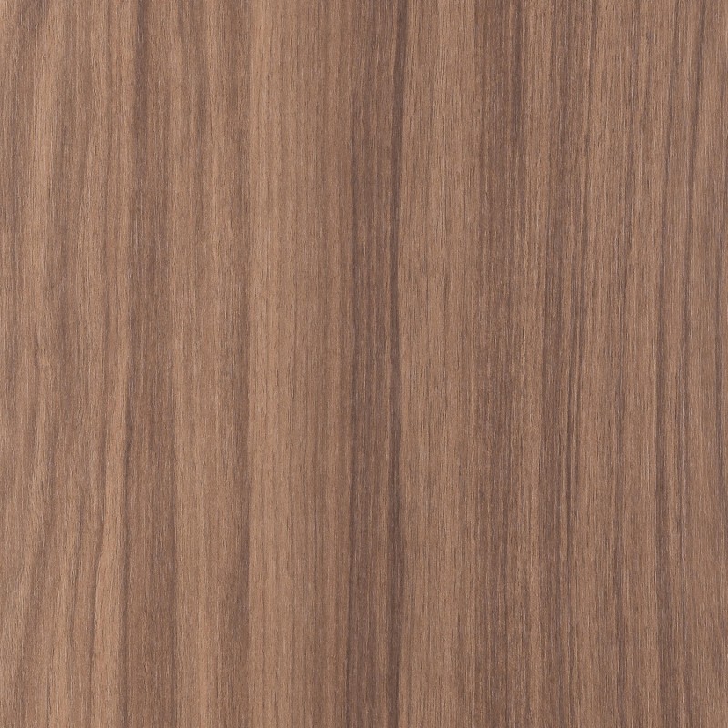Saib Noce Andalusia CH1985 Root