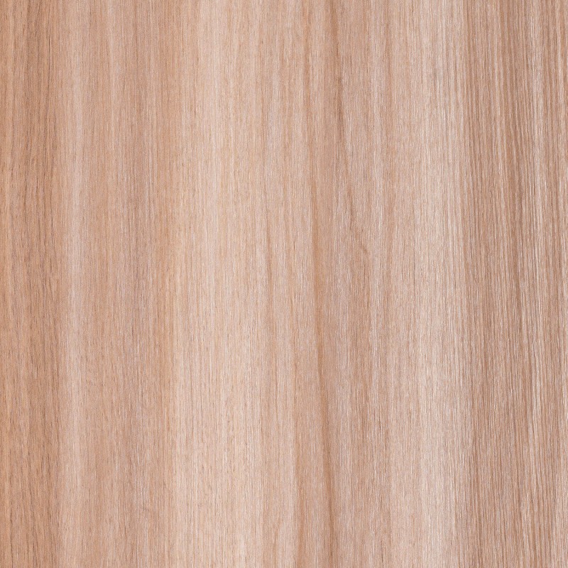 Saib Noce Alba Biondo CH2168 ST19