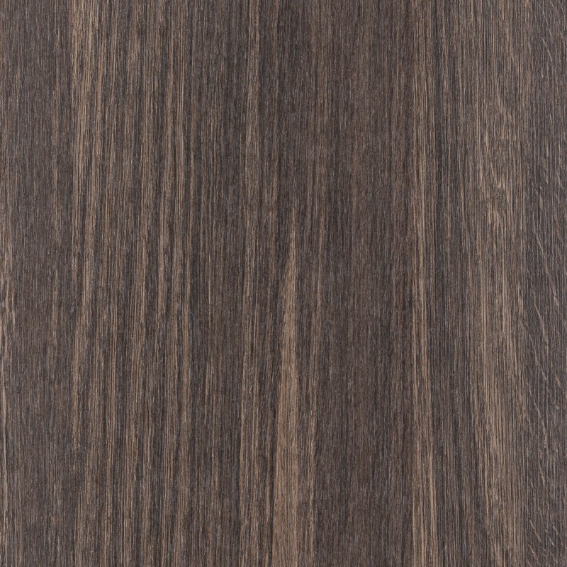 Saib Hidalgo Aragona CH3029 Root