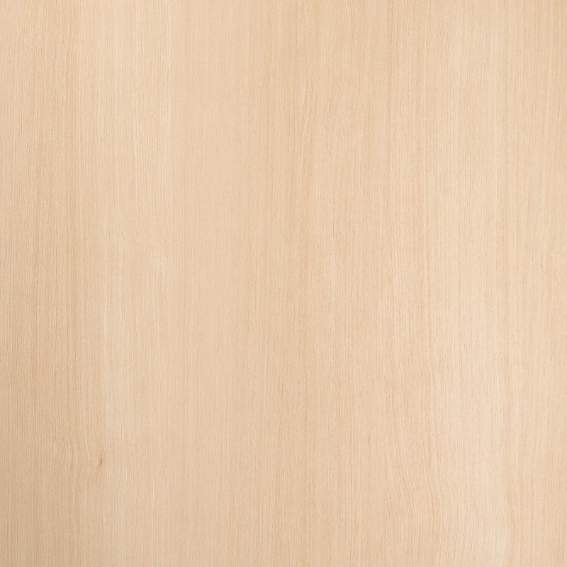 Saib Fuji Maple CH6028 Dugwood