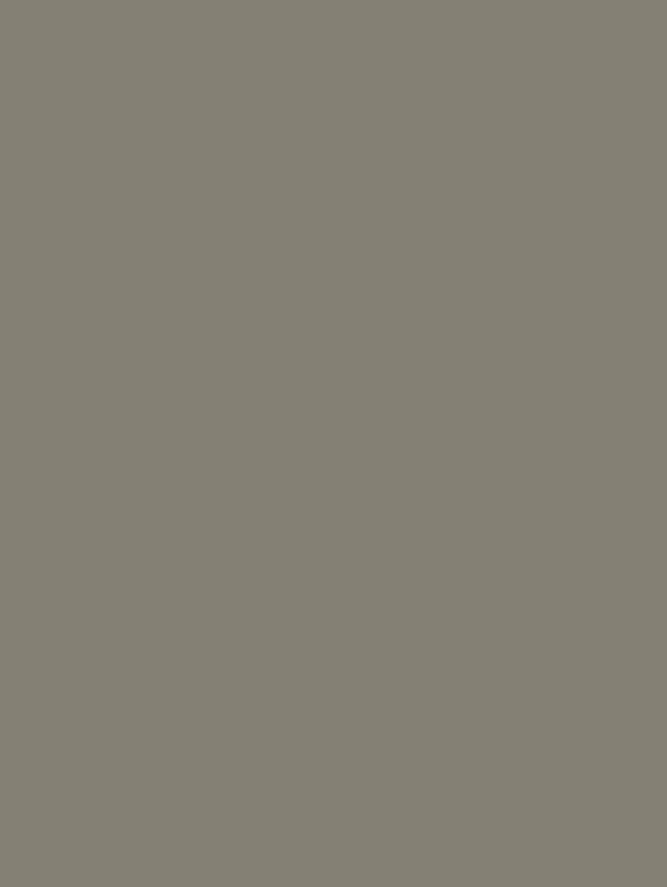 IXTEX 328 Visone - 19mm image