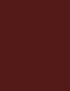 IXTEX 360 Rosso Vino - 19mm image