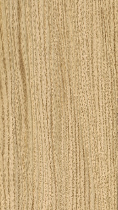 Twist! ROVERE EUROPEO - sp. 0,6mm image