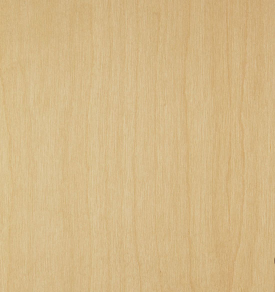 Twist! BETULLA - sp. 0,6mm image