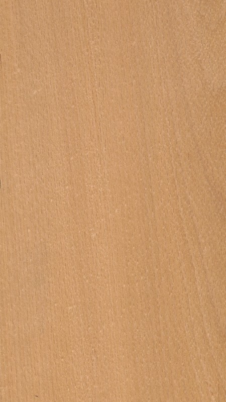 Twist! FAGGIO EVAPORATO - sp. 0,6mm image