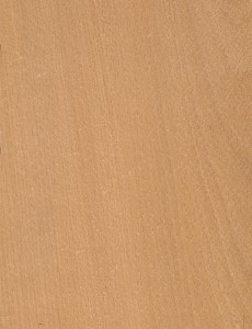 Twist! FAGGIO EVAPORATO - sp. 0,6mm image