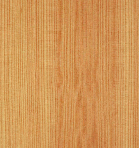 Twist! LARICE - sp. 0,6mm image