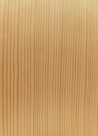 Twist! PINO NETTO - sp. 0,6mm image