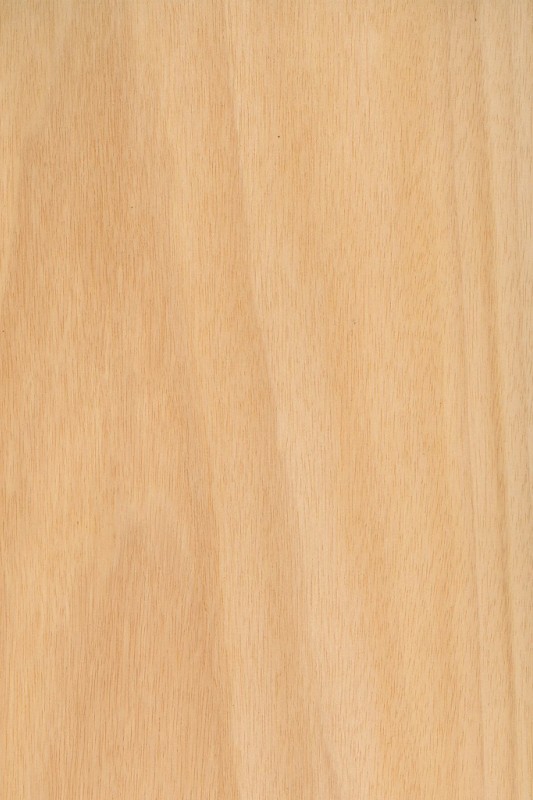 Twist! TANGANIKA - sp. 0,6mm image