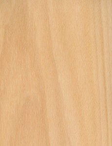 Twist! TANGANIKA - sp. 0,6mm image